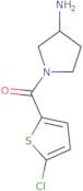 (3-Aminopyrrolidin-1-yl)(5-chlorothiophen-2-yl)methanone