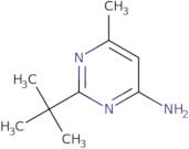 2-tert-Butyl-6-methyl-pyrimidin-4-ylamine