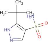 3-tert-Butyl-1H-pyrazole-4-sulfonamide