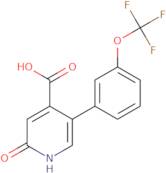 2-(3-Amino-2-oxo-1,2-dihydropyridin-1-yl)-N-(propan-2-yl)acetamide