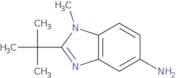 2-tert-Butyl-1-methyl-1H-1,3-benzodiazol-5-amine
