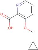 3-(Cyclopropylmethoxy)pyridine-2-carboxylic acid