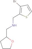 [(3-Bromothiophen-2-yl)methyl](oxolan-2-ylmethyl)amine