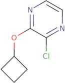 2-Chloro-3-cyclobutoxypyrazine