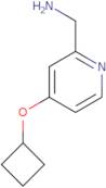 (4-Cyclobutoxypyridin-2-yl)methanamine