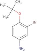 3-Bromo-4-(tert-butoxy)aniline