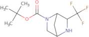 tert-Butyl 6-(trifluoromethyl)-2,5-diazabicyclo[2.2.1]heptane-2-carboxylate