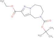 5-Tert-Butyl 2-Ethyl 7,8-Dihydro-4H-Pyrazolo[1,5-A][1,4]Diazepine-2,5(6H)-Dicarboxylate