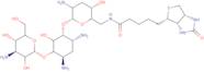 Biotinyl tobramycin amide
