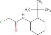 N-(2-tert-Butylcyclohexyl)-2-chloroacetamide