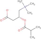 Isobutryl Carnitine D3