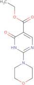 Ethyl 4-hydroxy-2-morpholinopyrimidine-5-carboxylate