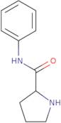 Pyrrolidine-2-carboxylic acid phenylamide