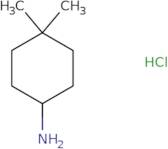 4,4-Dimethylcyclohexanamine hydrochloride