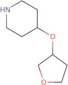 4-(Oxolan-3-yloxy)piperidine