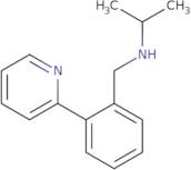 (Propan-2-yl)({[2-(pyridin-2-yl)phenyl]methyl})amine