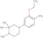 2-Ethoxy-4-(3,3,4-trimethylpiperazin-1-yl)aniline