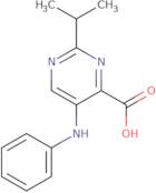 2-Isopropyl-5-(phenylamino)pyrimidine-4-carboxylic acid