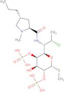 Clindamycin-2,4-diphosphate