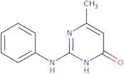 2-Anilino-6-methyl-1H-pyrimidin-4-one