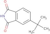 5-tert-Butyl-2,3-dihydro-1H-isoindole-1,3-dione