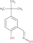 4-tert-Butyl-2-[(1Z)-(hydroxyimino)methyl]phenol