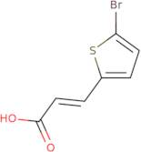 (E)-3-(5-Bromothiophen-2-yl)acrylic acid