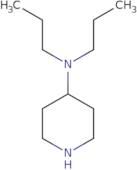 4-Di-N-propylamino-piperidine