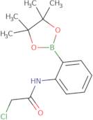 2-Chloro-N-[2-(4,4,5,5-tetramethyl-1,3,2-dioxaborolan-2-yl)phenyl]acetamide