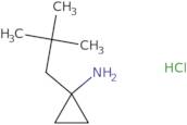 1-(2,2-Dimethylpropyl)cyclopropyl amine hydrochloride