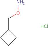 o-(Cyclobutylmethyl)hydroxylamine hydrochloride