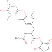 N-Acetyl-o-(4-hydroxy-3,5-diiodophenyl)-3,5-diiodo-L-tyrosine 2,5-dioxo-1-pyrrolidinyl ester