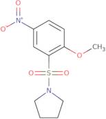 1-(2-Methoxy-5-nitrobenzenesulfonyl)pyrrolidine