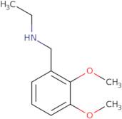 N-(2,3-Dimethoxybenzyl)ethanamine