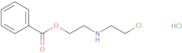 2-[(2-Chloroethyl)amino]ethyl benzoate HCl