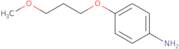 4-(3-Methoxypropoxy)aniline