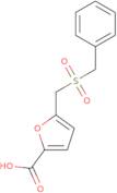 5-[(Benzylsulfonyl)methyl]-2-furoic acid