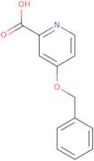 4-(Benzyloxy)pyridine-2-carboxylic acid