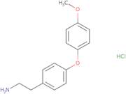 2-[4-(4-Methoxyphenoxy)phenyl]ethan-1-amine hydrochloride