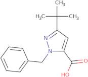 1-Benzyl-3-tert-butyl-1H-pyrazole-5-carboxylic acid