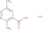 2,5-Dimethylpyridine-3-carboxylic acid hydrochloride