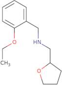 [(2-Ethoxyphenyl)methyl](oxolan-2-ylmethyl)amine