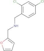 (2,4-Dichlorophenyl)-N-(2-furylmethyl)methanamine