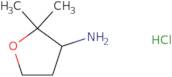 2,2-Dimethyloxolan-3-amine hydrochloride
