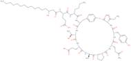 Fengycin