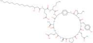 Fengycin A analogue