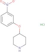 4-(3-Nitrophenoxy)piperidine HCl