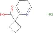 Trans-2-buten-2-ylboronic acid