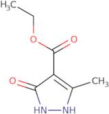 Ethyl 5-methyl-3-oxo-2,3-dihydro-1H-pyrazole-4-carboxylate