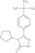 5-(4-tert-Butylphenyl)-4-cyclopentyl-4H-1,2,4-triazole-3-thiol